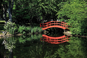 Pond with a red bridge in forrest